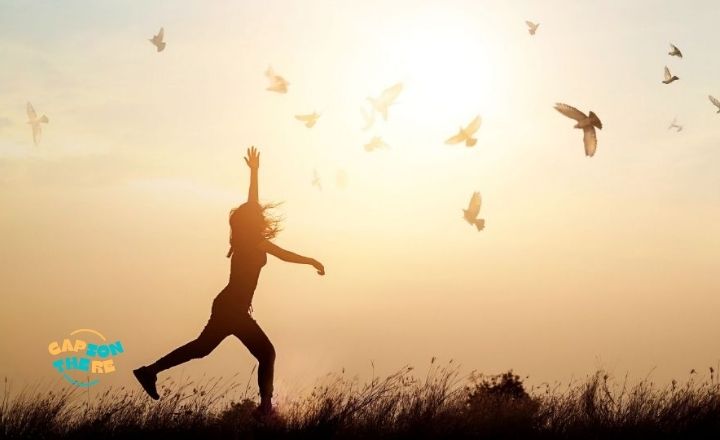 Funny Life Lately Captions