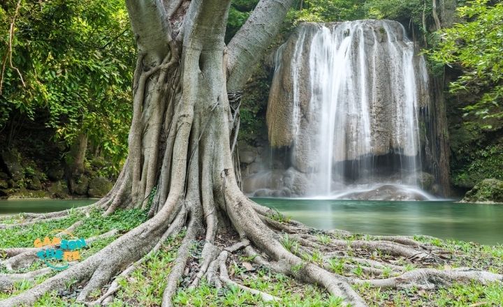 Inspirational Nature Captions